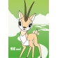 Tibetan Antelope Plastic Folder